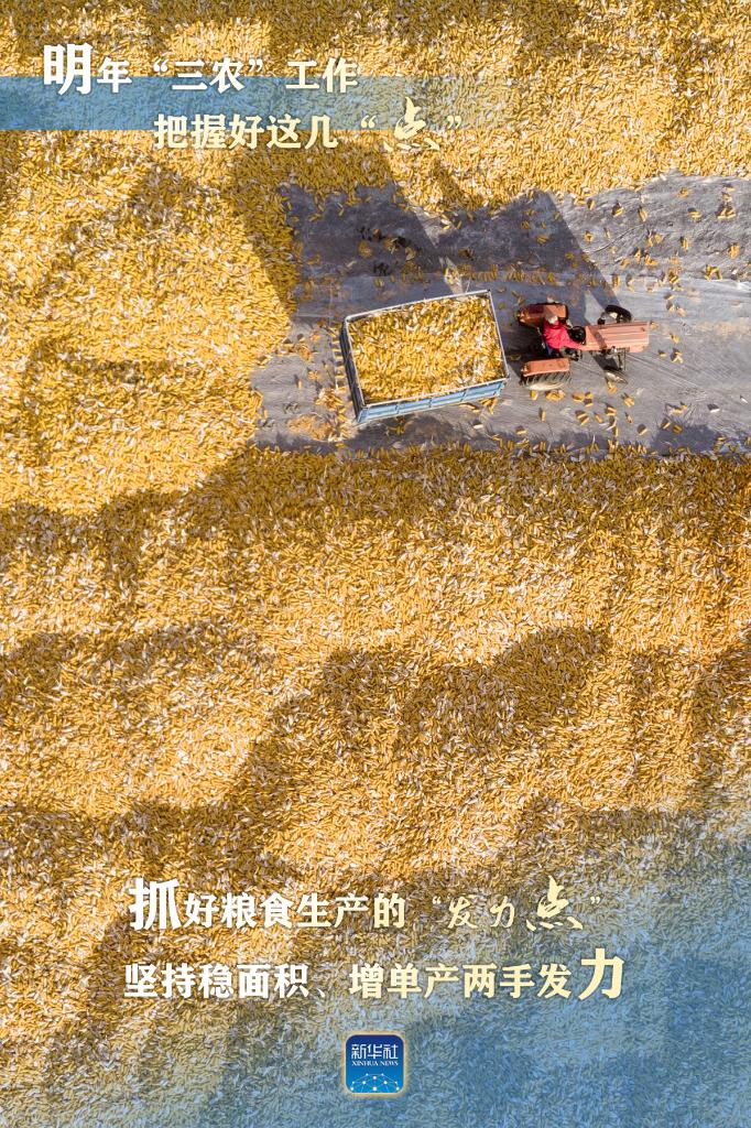 明年“三農(nóng)”工作，這幾個“點”要把握好