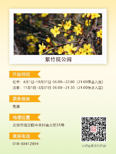 追花指南第二期！京城三月里最撩人的玉蘭觀賞地