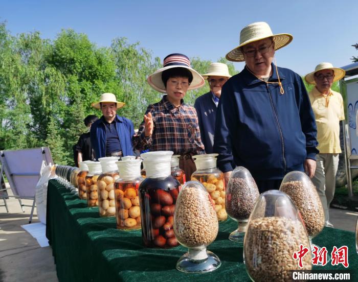 青海：利用冷涼氣候，打造高原綠色種業(yè)輸出地
