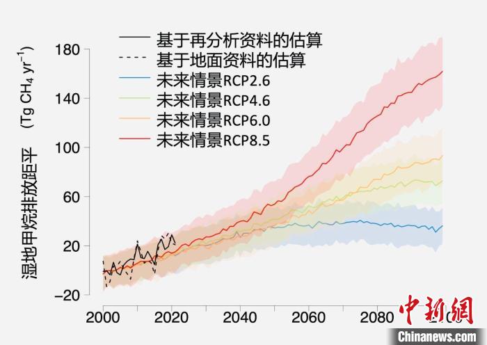 基于觀測的濕地甲烷排放變化與未來氣候變化情景下估算的對比?！≈锌圃呵嗖馗咴?供圖