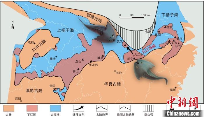 華南地區(qū)志留紀早期古地理圖和盔甲魚類化石產(chǎn)地(山顯任改自陳旭、戎嘉余，1996；戎嘉余等，2012) 中科院古脊椎所 供圖