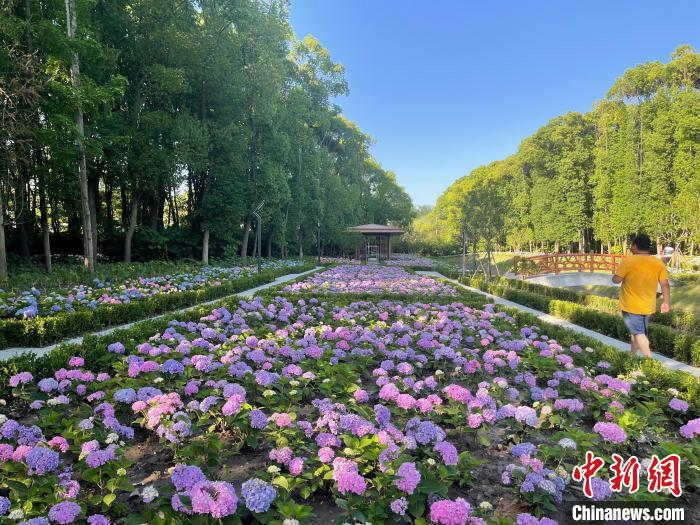 納民意、匯民智上海努力讓“公園城市”建設真正“合民心”