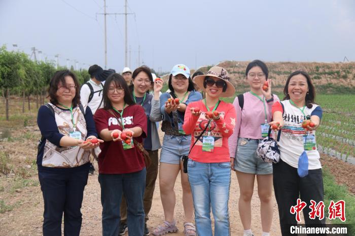 圖為臺(tái)胞體驗(yàn)大美內(nèi)蒙古。　托婭供圖