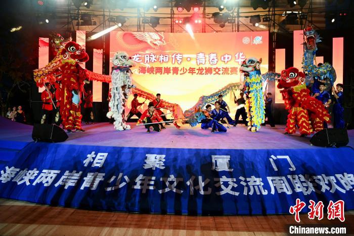 聯(lián)歡晚會上，兩岸青少年同臺呈現(xiàn)龍獅表演。　王東明 攝