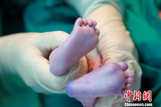 資料圖。簡(jiǎn)文楊 攝