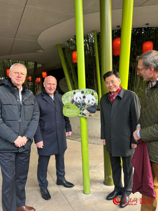中國(guó)駐德國(guó)大使吳懇（右二）、柏林市長(zhǎng)韋格納（左二）、動(dòng)物園園長(zhǎng)克尼里姆（右一）和監(jiān)事會(huì)主席布魯克曼（左一）共同為“夢(mèng)想”“夢(mèng)圓”大熊貓紀(jì)念牌揭幕。人民網(wǎng)記者 徐馨攝
