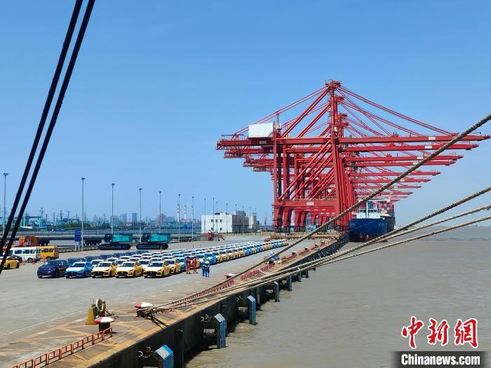 資料圖：國產(chǎn)新能源車在上海外高橋港區(qū)海通碼頭“整裝待發(fā)”?！∑址?攝