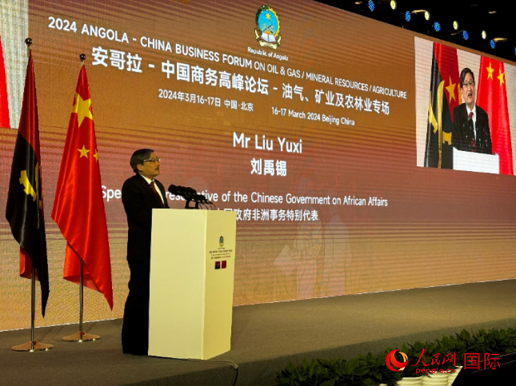 中國政府非洲事務(wù)特別代表劉禹錫。人民網(wǎng)記者 張榮攝