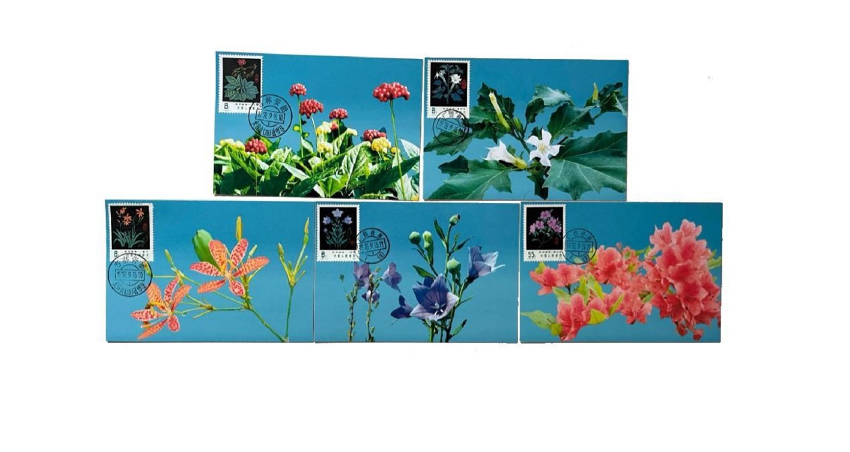 首套藥用植物極限片。第七屆阿聯(lián)酋集郵展主辦方供圖