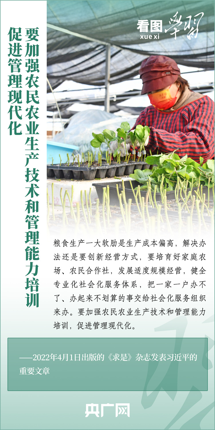 看圖學(xué)習(xí)丨推廣良田、良種、良法、良機(jī) 給農(nóng)業(yè)現(xiàn)代化插上科技的翅膀
