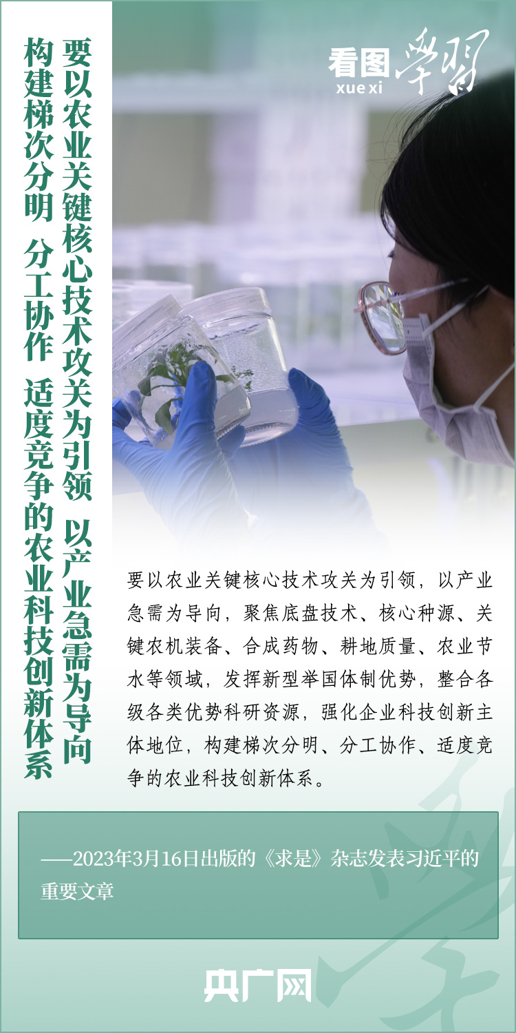看圖學(xué)習(xí)丨推廣良田、良種、良法、良機(jī) 給農(nóng)業(yè)現(xiàn)代化插上科技的翅膀