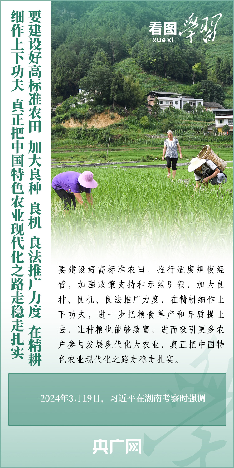 看圖學(xué)習(xí)丨推廣良田、良種、良法、良機(jī) 給農(nóng)業(yè)現(xiàn)代化插上科技的翅膀