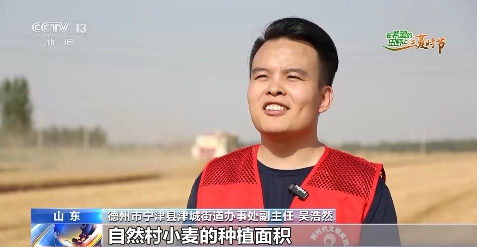 “三夏”生產(chǎn)思維導(dǎo)圖安排上了！還有政府大院等你來“曬”
