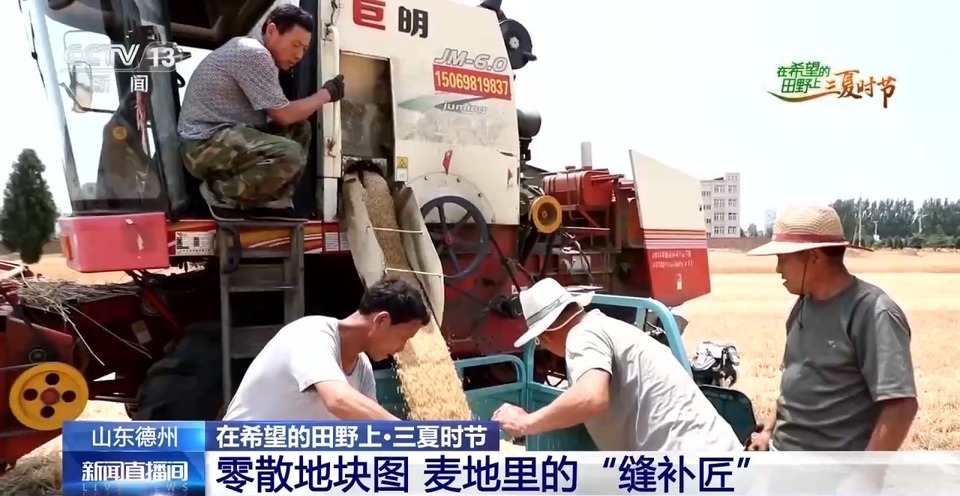 “三夏”生產(chǎn)思維導(dǎo)圖安排上了！還有政府大院等你來“曬”