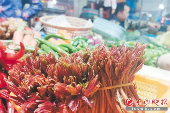 　　農(nóng)貿(mào)市場里鮮嫩的香椿?！　【鶠殚L沙晚報(bào)全媒體記者 劉捷萍 攝