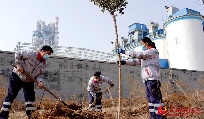 邢臺(tái)金隅職工在石邢公路沿線植樹(shù)。 宋繼昌攝