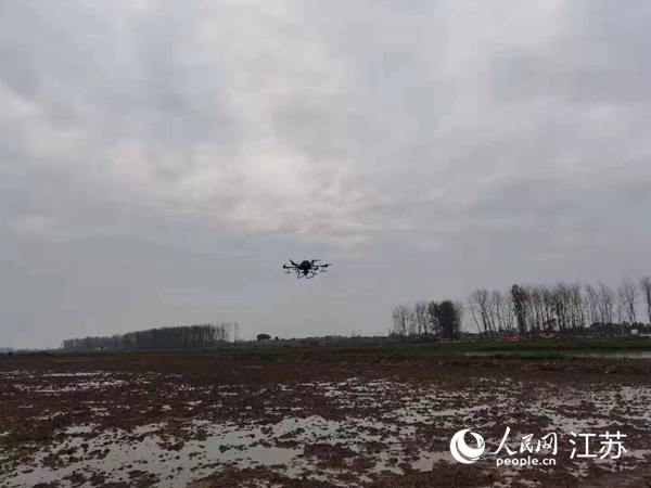 勝利圩高標(biāo)準(zhǔn)農(nóng)田進(jìn)行無人機(jī)水稻播種。陽江鎮(zhèn)供圖