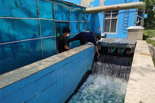 邯鄲市雞澤縣藍天污水處理廠員工正在出水口進行水質檢測。鄭佳欣攝