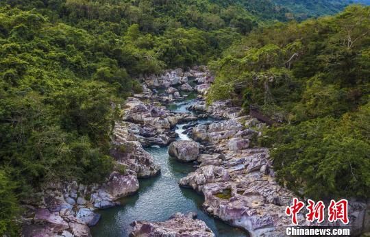 2018年海南生態(tài)環(huán)境狀況等級為“優(yōu)”，植被覆蓋率高，生物多樣性豐富，生態(tài)系統(tǒng)穩(wěn)定，圖為海南中部熱帶雨林。　駱云飛　攝