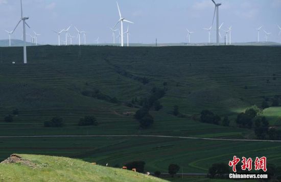 6月28日，河北張家口張北草原上大片風(fēng)力發(fā)電的“風(fēng)車”規(guī)模宏大。 中新社記者 楊艷敏 攝