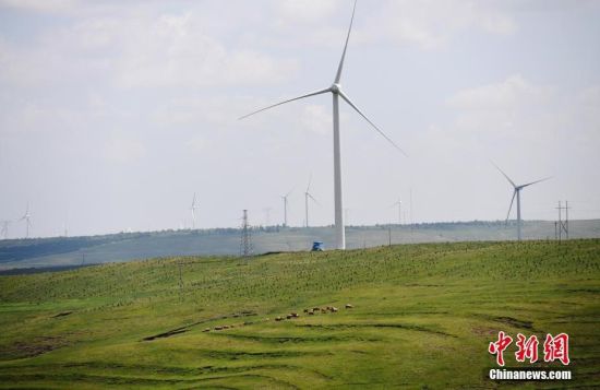 6月28日，河北張家口張北草原上大片風(fēng)力發(fā)電的“風(fēng)車”規(guī)模宏大。 中新社記者 楊艷敏 攝