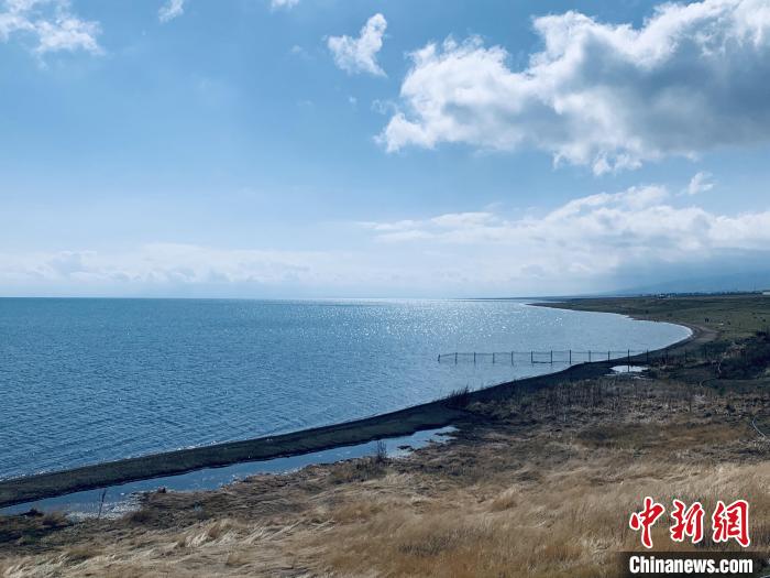 圖為青海湖畔。(資料圖) 張傲 攝