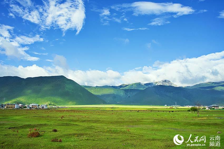 納帕海濕地風(fēng)景。呂昊辰攝