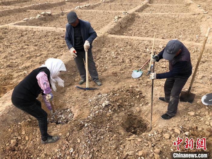 資料圖為建行青海省分行綠化區(qū)施工隊(duì)隊(duì)員處理亂石。　建行青海省分行供圖