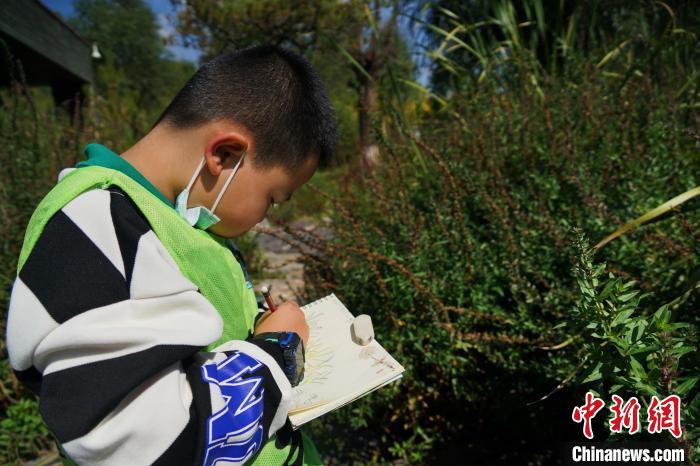 圖為小朋友在青海西寧湟水國家濕地公園內(nèi)認識植物并進行繪畫?！●R銘言 攝