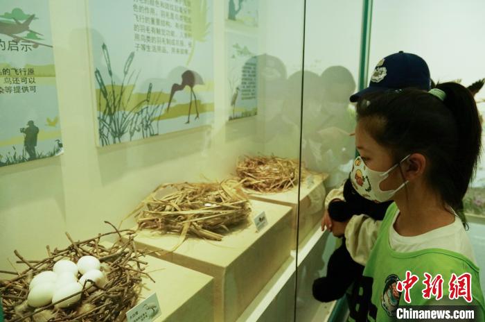圖為小朋友在青海西寧湟水國家濕地公園科普館內(nèi)參觀學(xué)習(xí)?！●R銘言 攝