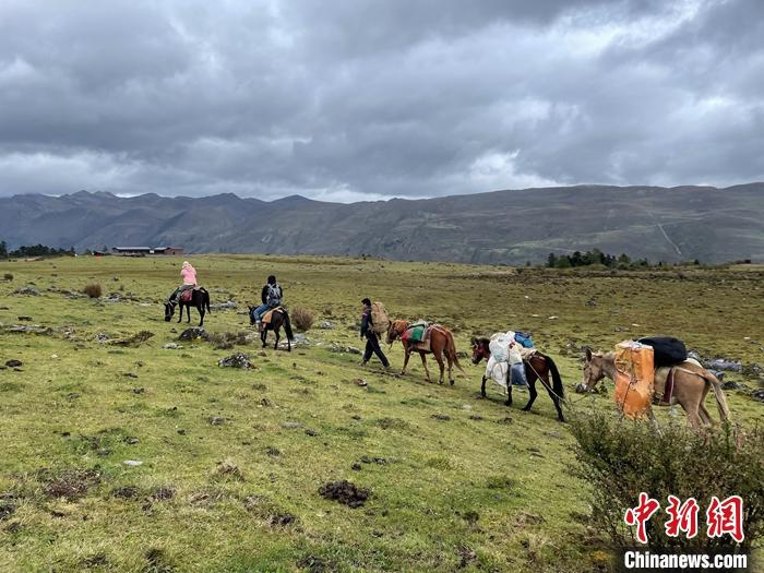 圖為9月26日游客騎馬領(lǐng)略尼汝村高原牧場風(fēng)光。 <a target='_blank' href='/'><p  align=