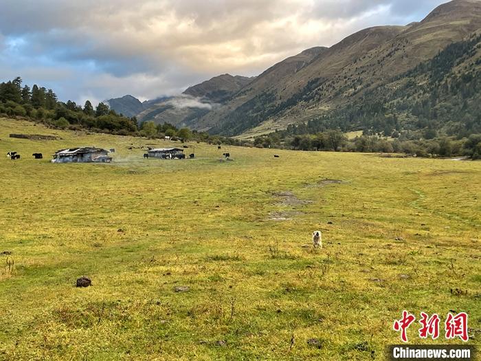 圖為9月27日新沾牧場的早晨景色。 <a target='_blank' href='/'><p  align=