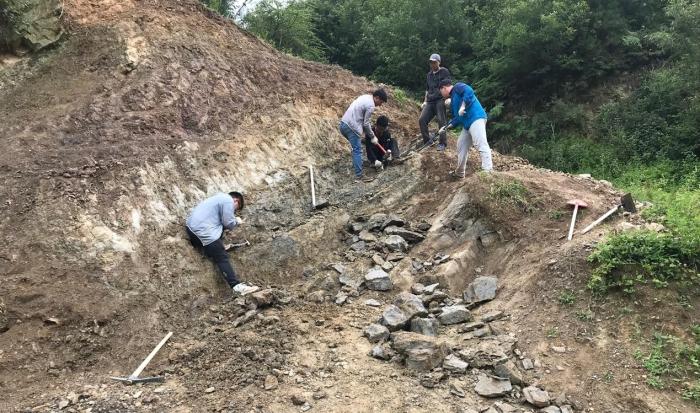 2018年玉海翼角魚野外發(fā)掘采集現(xiàn)場?！∩w志琨 攝