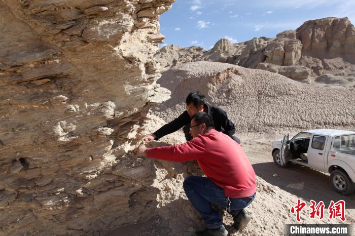 圖為地質(zhì)專(zhuān)家觀察鹽類(lèi)沉積地層。(資料圖) 柴綜院 供圖