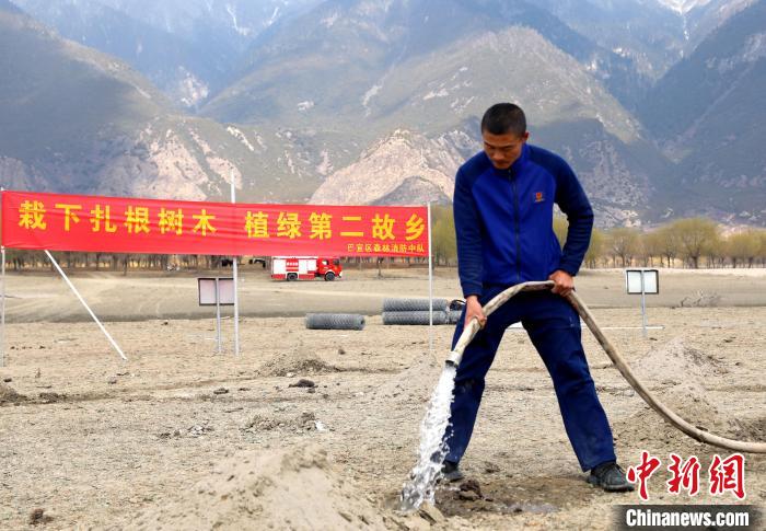 林芝市巴宜區(qū)森林消防中隊志愿服務(wù)隊澆水灌溉?！∥骼@拉翁 攝