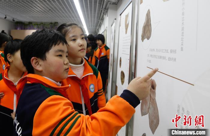 青海省博物館展覽進(jìn)校園學(xué)生近距離了解青海歷史文化