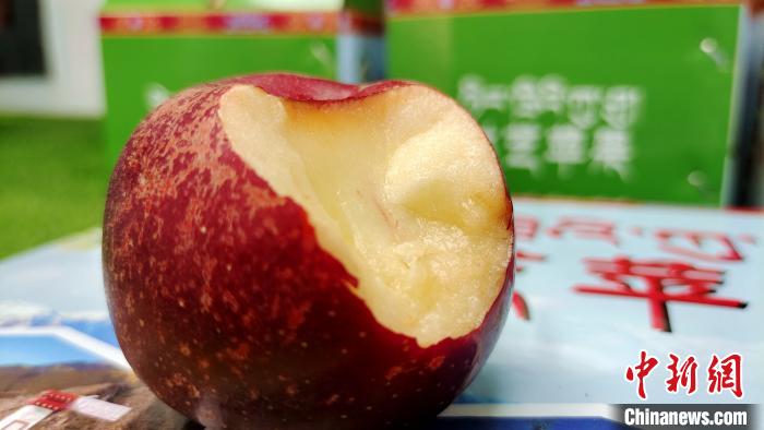 圖為通麥村特色甜心蘋果?！∝暽＠?攝