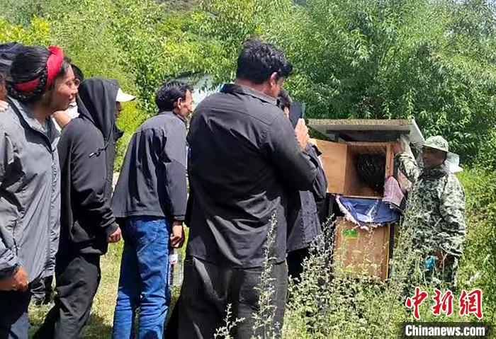 拉久西村村民學(xué)習(xí)養(yǎng)蜂工作流程和防范事項?！〔际忻⒖悼h委宣傳部供圖