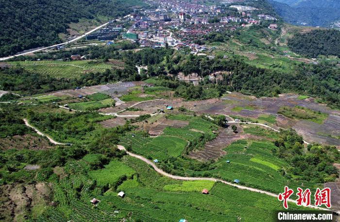 圖為西藏林芝市墨脫縣城附近的茶田。(無人機(jī)照片) 李林 攝