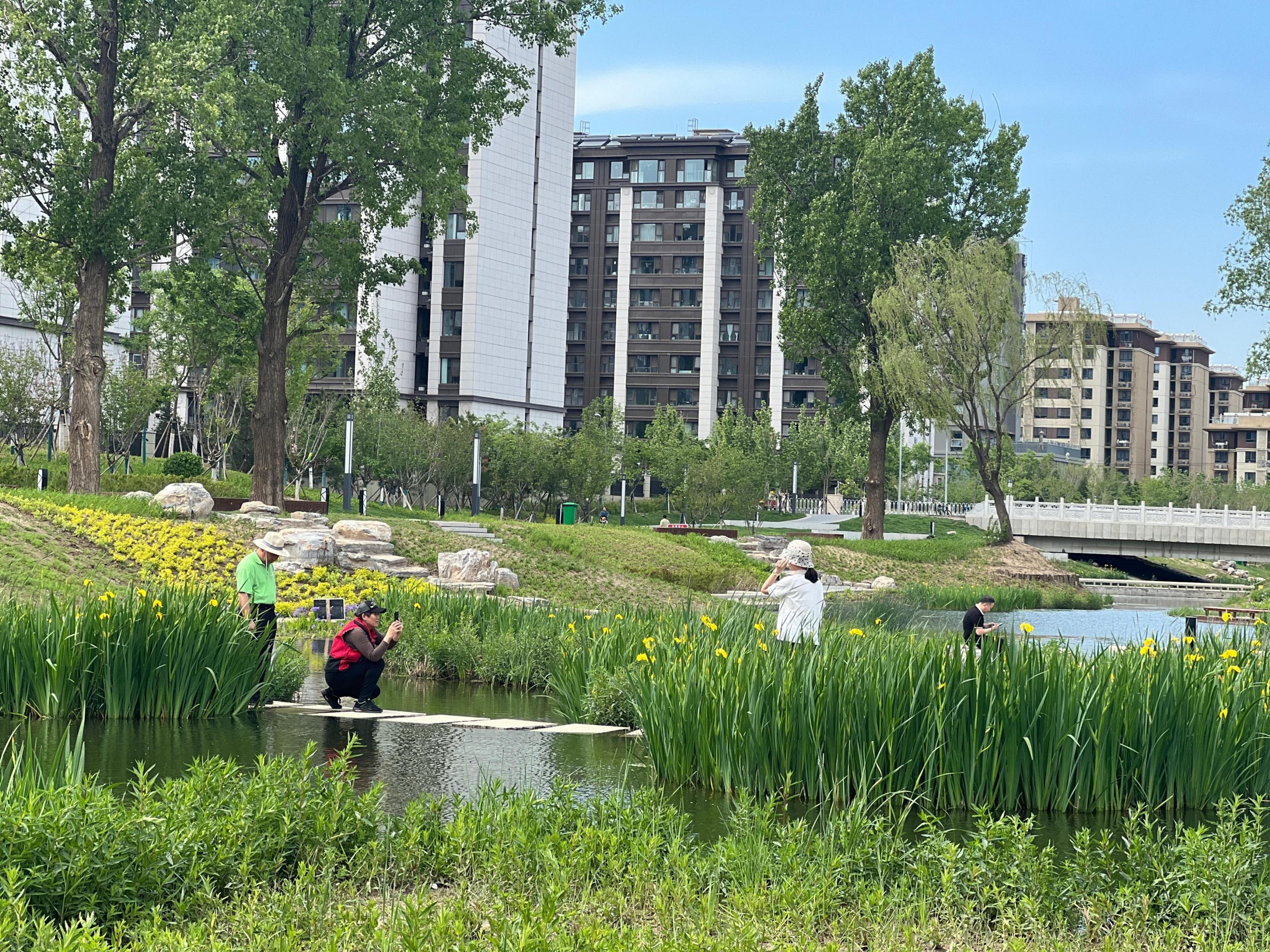 五一渠生態(tài)濱河公園內(nèi)，市民正在拍照留念。人民網(wǎng) 歐陽易佳攝