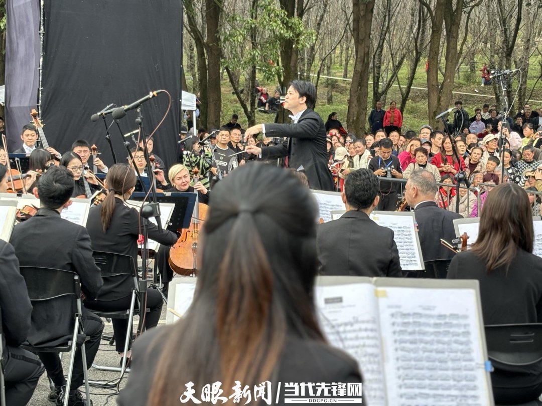 貴陽路邊音樂會·貴安櫻花園專場交響樂現(xiàn)場。丁亞 文丹 攝