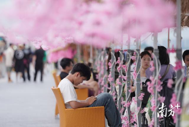 崖口村東堤靠近海岸，成為了熱門打卡休閑地點。
