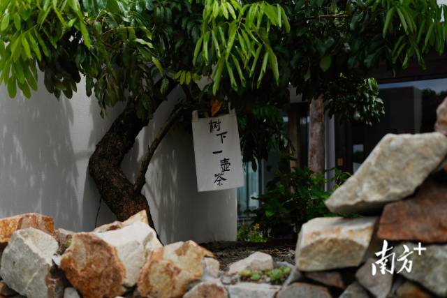 崖口村內(nèi)的文藝民宿。