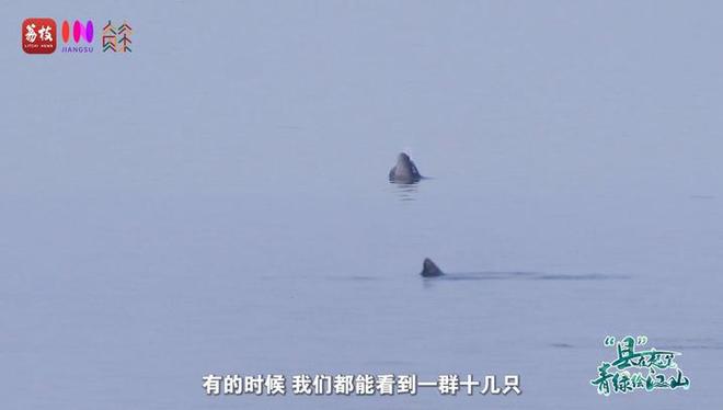 “縣”在起筆 青綠繪江山 | 江灣沐曉：褪去“銹色”走“金線”，繡出生態(tài)與產(chǎn)業(yè)“雙面錦”