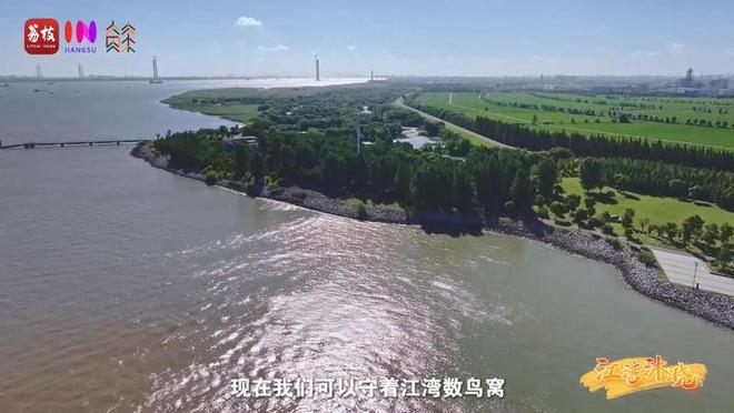 “縣”在起筆 青綠繪江山 | 江灣沐曉：褪去“銹色”走“金線”，繡出生態(tài)與產(chǎn)業(yè)“雙面錦”