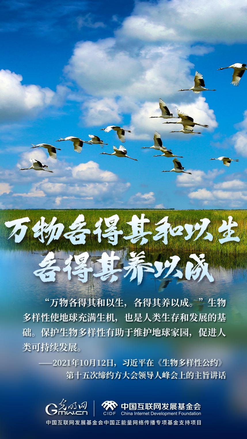 “兩山”理念與美麗中國丨濕地與候鳥，一場歲歲年年的相守