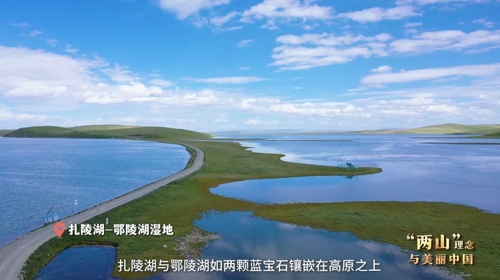 “兩山”理念與美麗中國丨濕地與候鳥，一場歲歲年年的相守