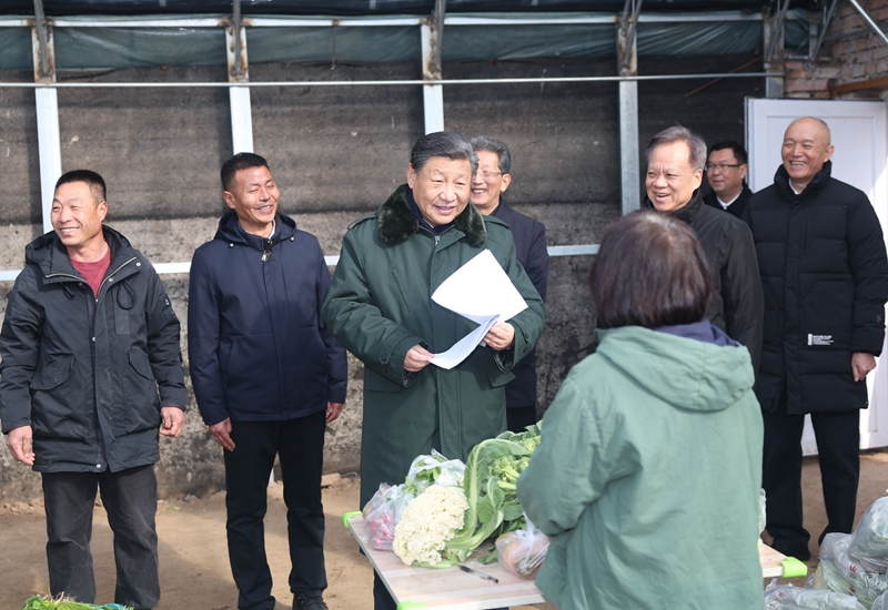 2024年2月1日，習(xí)近平總書記在天津市西青區(qū)辛口鎮(zhèn)第六埠村，走進(jìn)大棚同菜農(nóng)親切交流。