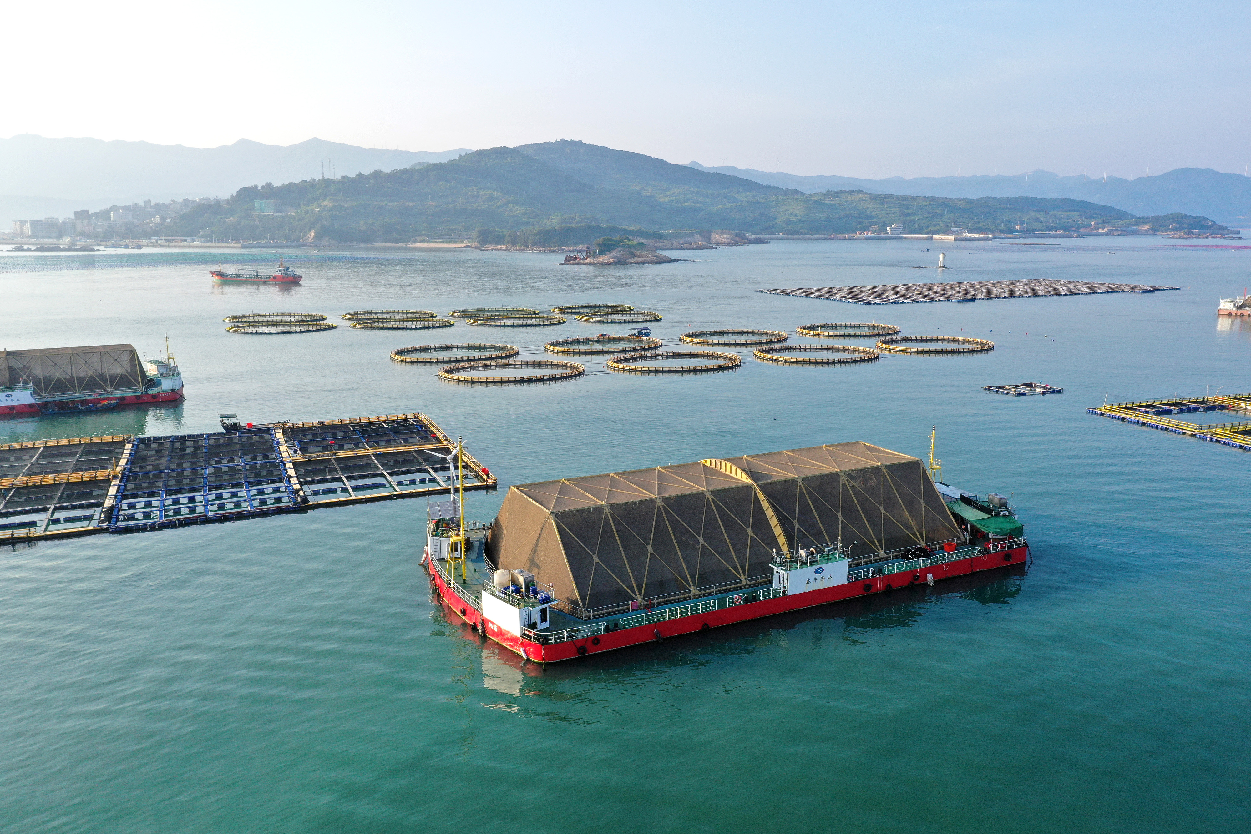2024年9月10日拍攝的福建省福州市連江縣定海灣海域的現(xiàn)代化“海上糧倉”。