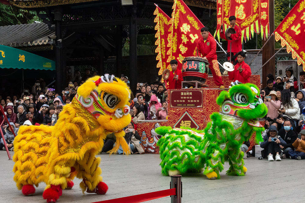 圖為廣東省佛山市祖廟的醒獅表演。